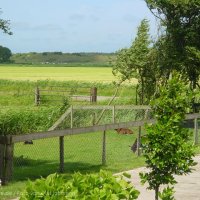 Schiermonnikoog 2003_200