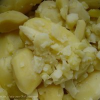 Schiermonnikoog 2004_110