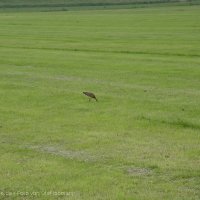 Schiermonnikoog 2004_138