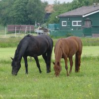 Schiermonnikoog 2004_139