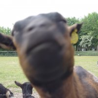 Schiermonnikoog 2004_140