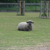 Schiermonnikoog 2004_148