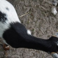 Schiermonnikoog 2004_151