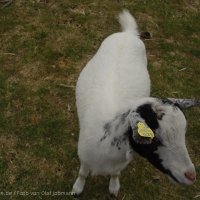 Schiermonnikoog 2004_165