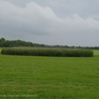 Schiermonnikoog 2004_196