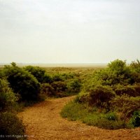 Schiermonnikoog 2004_1