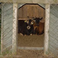 Schiermonnikoog 2004_23