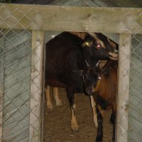 Schiermonnikoog 2004_25