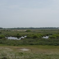 Schiermonnikoog