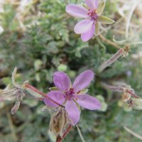 Schiermonnikoog 2004_42