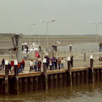 Schiermonnikoog 2004_53