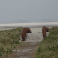 Schiermonnikoog 2004_54
