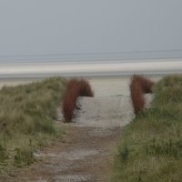 Schiermonnikoog 2004_55