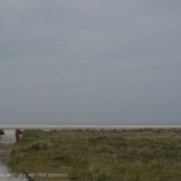 Schiermonnikoog 2004_56