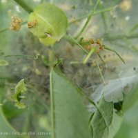 Schiermonnikoog 2004_57