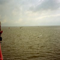 Schiermonnikoog 2004_57