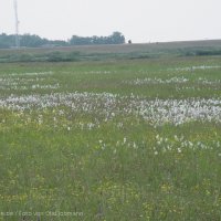 Schiermonnikoog 2004_61