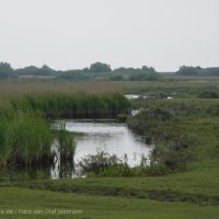 Schiermonnikoog 2004_62