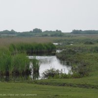 Schiermonnikoog 2004_63