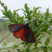 Schiermonnikoog 2004_65