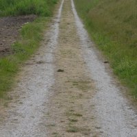 Schiermonnikoog 2004_71