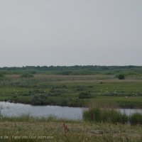 Schiermonnikoog 2004_73