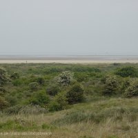 Schiermonnikoog 2004_82