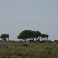 Schiermonnikoog 2004_84
