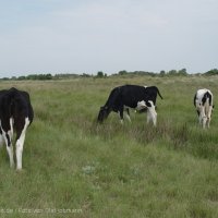 Schiermonnikoog 2004_87