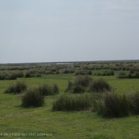 Schiermonnikoog 2004_88