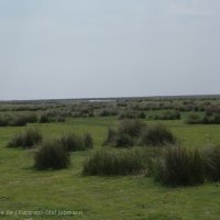 Schiermonnikoog 2004_88