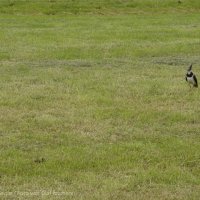 Schiermonnikoog 2004_92