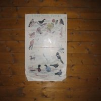 Schiermonnikoog 2005_100