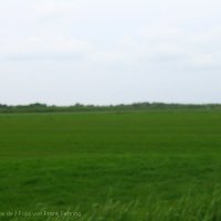 Schiermonnikoog 2005_121