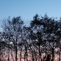 Schiermonnikoog 2005_18