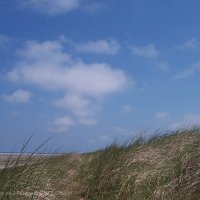 Schiermonnikoog 2005_56