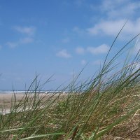 Schiermonnikoog 2005_58