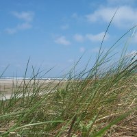 Schiermonnikoog 2005_59