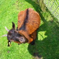 Schiermonnikoog 2005_68