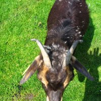 Schiermonnikoog 2005_69