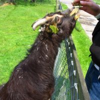 Schiermonnikoog 2005_71