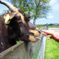 Schiermonnikoog 2005_73