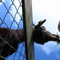 Schiermonnikoog 2005_74