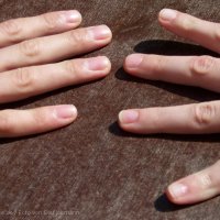 Schiermonnikoog 2005_84