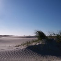 Schiermonnikoog 2005_92