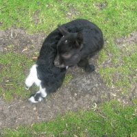 Schiermonnikoog 2006_164