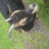 Schiermonnikoog 2006_165