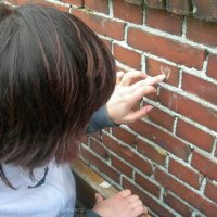 Schiermonnikoog 2006_179