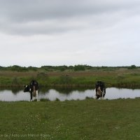 Schiermonnikoog 2006_49