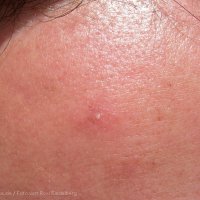 Schiermonnikoog 2006_88